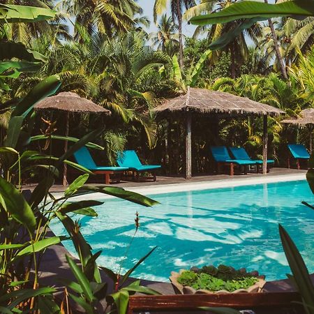 Devarya Wellness Beach Resort Morjim Luaran gambar